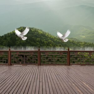 Bird Spike and Pigeon Spikes Pigeon Control Spikes Anti Bird Plastic Spikes for AC Balcony Railing Window Home Protection from Pigeon Dog Monkey Crow Kabootar Transparent